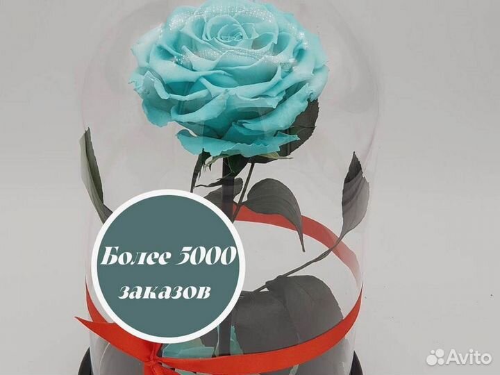 Роза в колбе