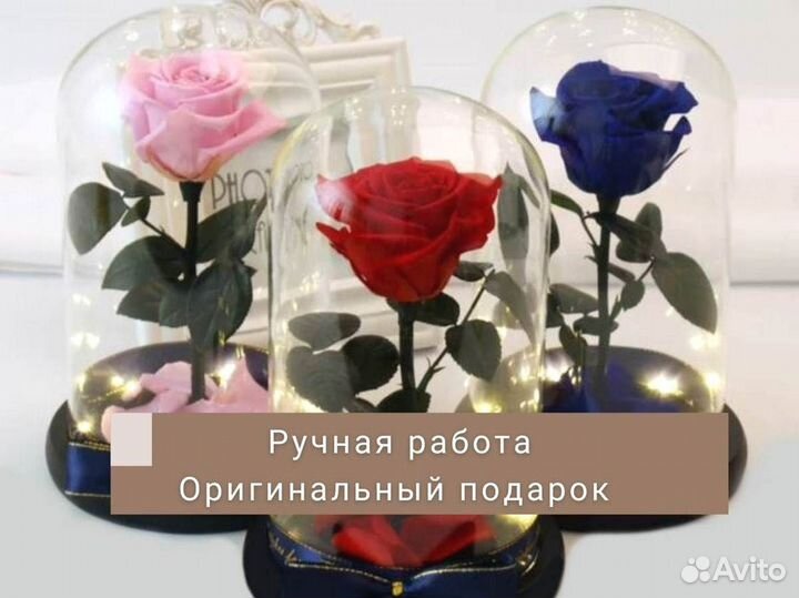 Розы в колбе на выбор