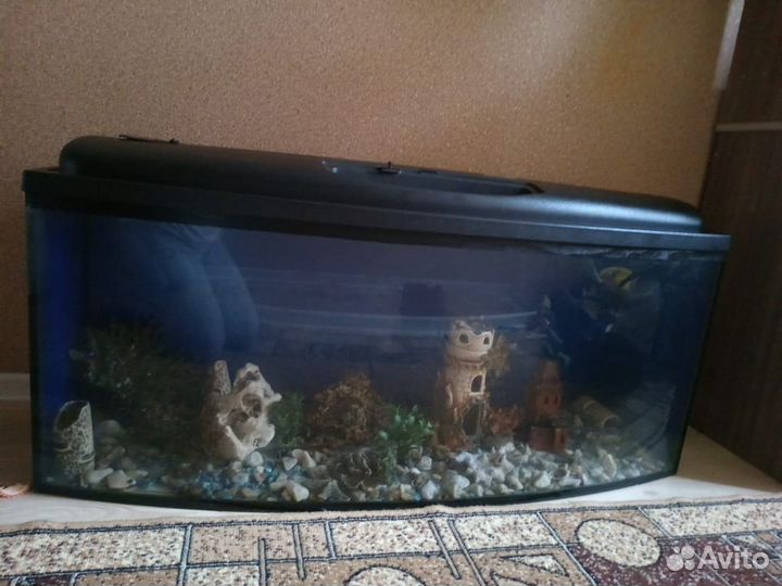 Аквариум на 250 лт