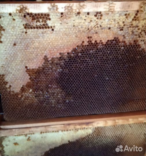 Рамки медовые