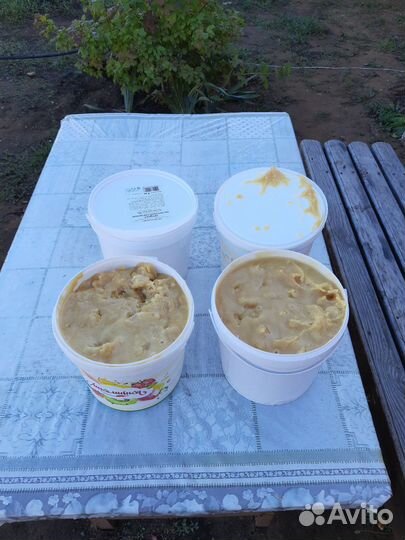 2023г Гречишный Мёд из Национального Парка