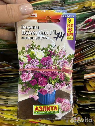 Семена петунии