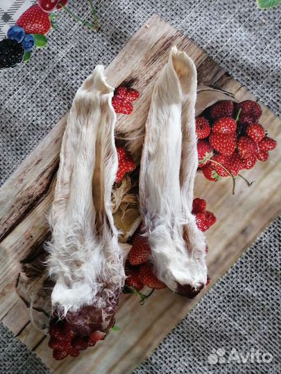 Сушеное лакомство для собак