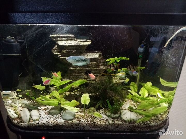 Аквариум с тумбой 120 литров
