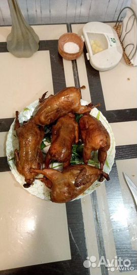 Яйца перепелиные, мясо перепелов