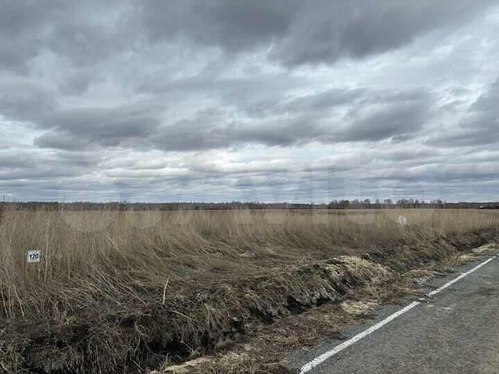 Участок 8 сот. (ИЖС)