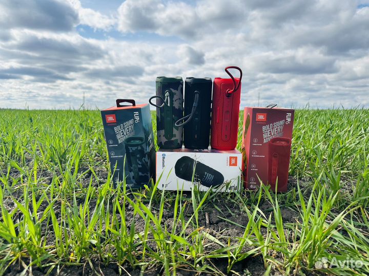 Колонка JBL Flip 6