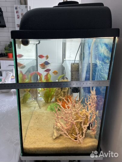 Аквариум
