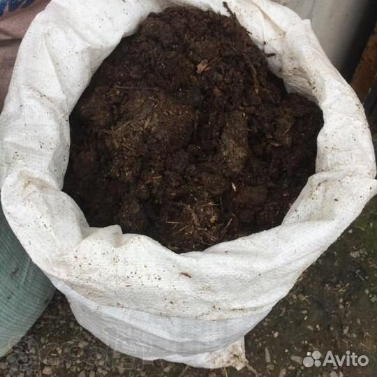 Навоз коровий