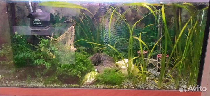 Аквариум с тумбой