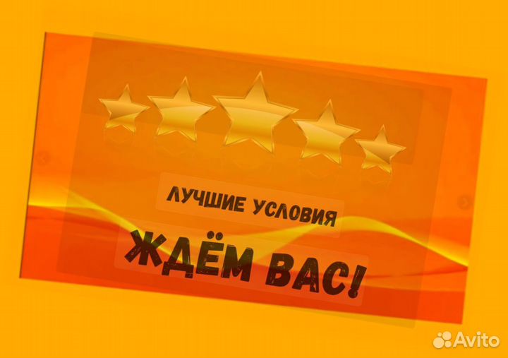 Сортировщик Еженедельный аванс Спецодежда М/Ж