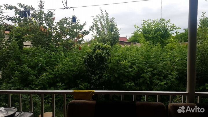 Малина свежая