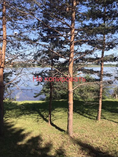 Участок 18 сот. (СНТ, ДНП)