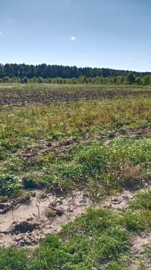 Участок 100 сот. (СНТ, ДНП)