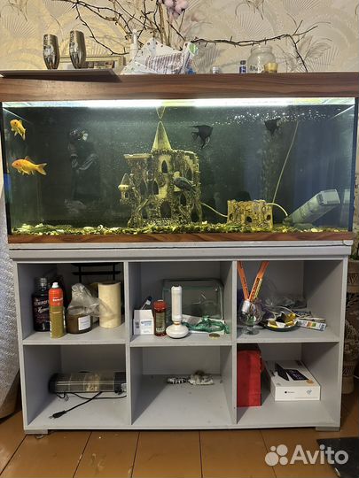 Аквариум с тумбой 300 литров