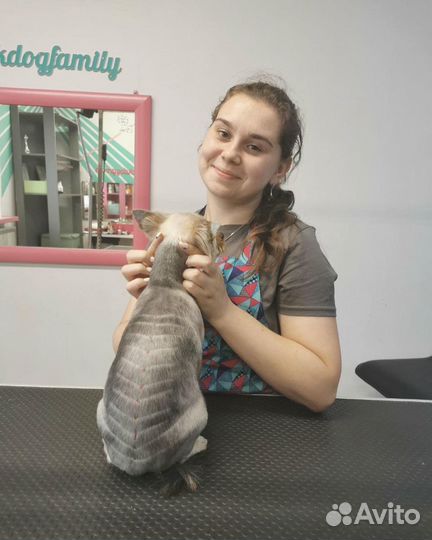 Грумер стрижка собак