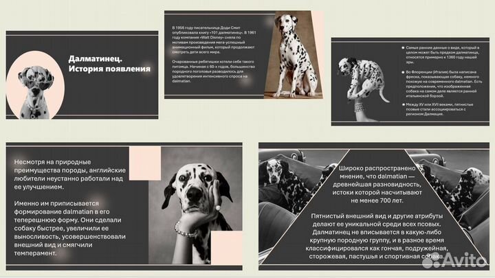 Создание презентаций в power point на заказ