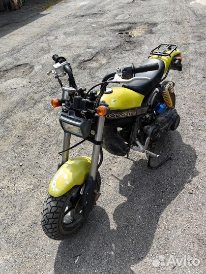 Suzuki street magic