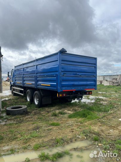 КАМАЗ 65117-N3, 2010