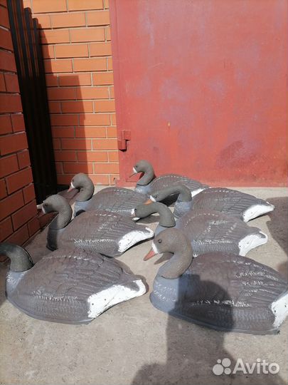 Чучела гусей