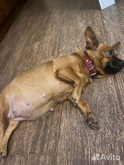 Милая девочка