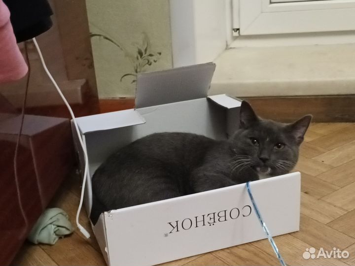 Макс-кс-кс