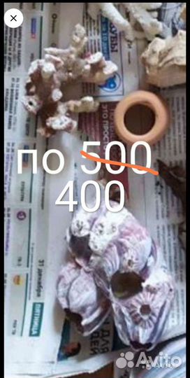 Коряги, гроты, ракушки, грунт в подарок