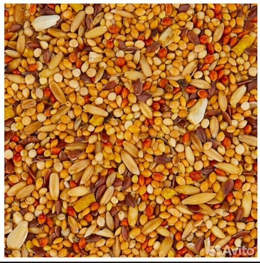 Корм для попугаев, амадин и канареек