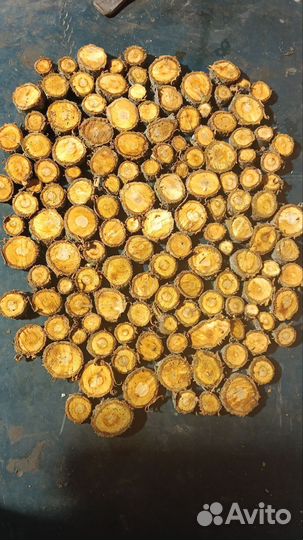 Спилы дерева, дуб