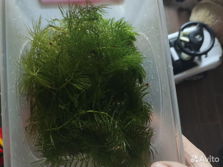 Украшение для аквариума