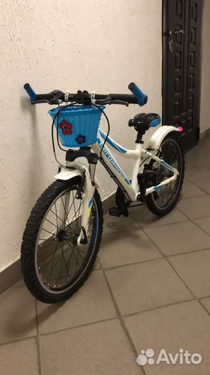 Детский велик bergamont team junior 20