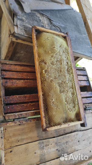 Рамки рутовские