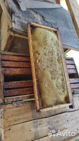 Рамки рутовские