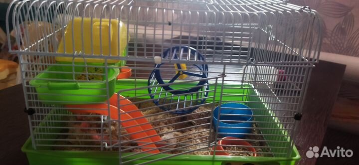 Клетка для грызунов