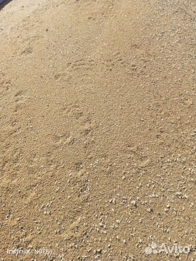 Зерноотходы