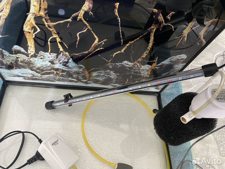 Аквариум для рыб