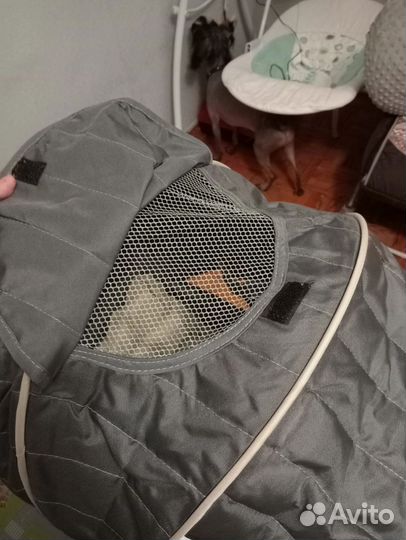 Детские коляски