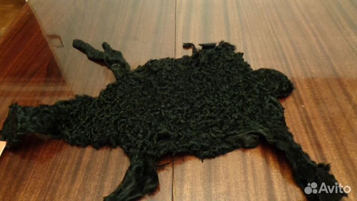 Шкурка каракульчи