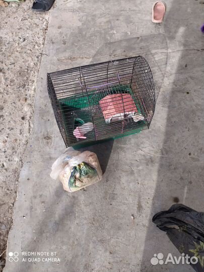 Клетка для хомяка