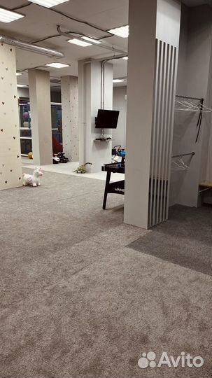 Аренда студии для праздника