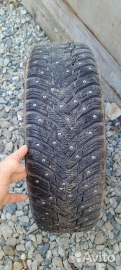 Nokian Tyres Nordman 8 185/65 R15