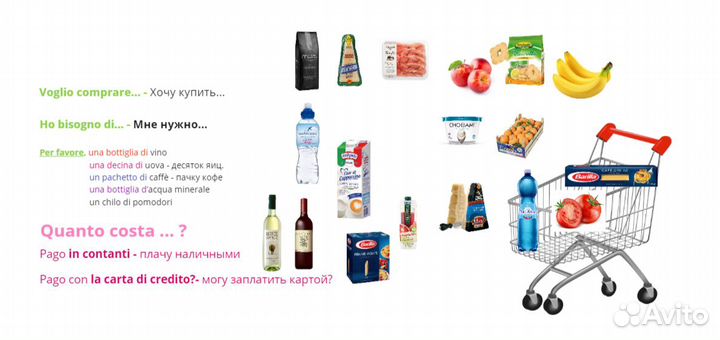 Итальянский язык Репетитор