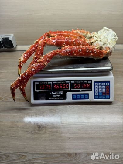 Клешни камчатского краба Л4