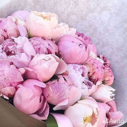 Пионы Букет