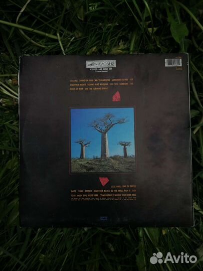 Pink Floyd Delicate Sound of Thunder