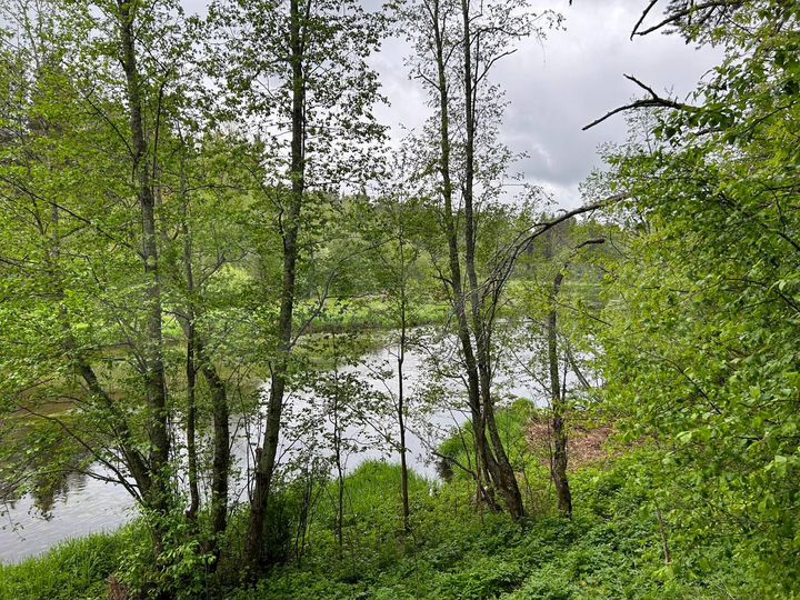 Участок 8,28 га (СНТ, ДНП)