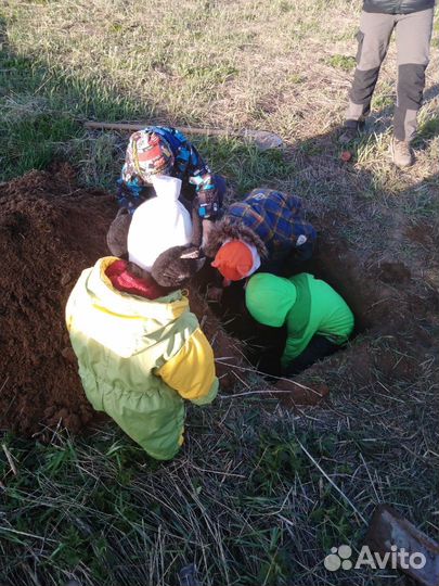 Биодинамическое земледелие