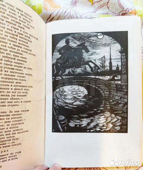 Книги. А.С.Пушкин и Н.А.Некрасов