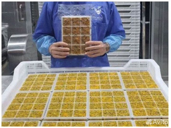 Фрукты Замороженная маракуйя из Вьетнама