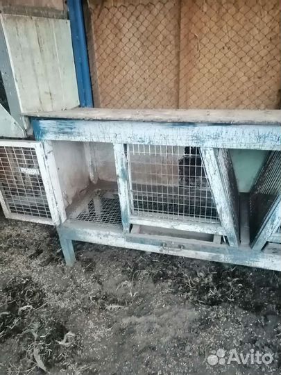 Клетка клетка для кролиа